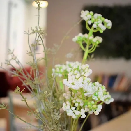 腾图古旅馆 旅馆 *